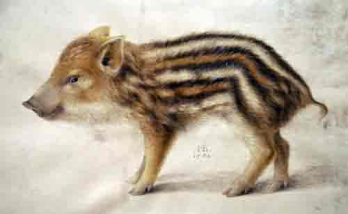 Turn your images into Aquarell, Style Transfer, Online, AI, Use Style:A Wild Boar Piglet.jpg